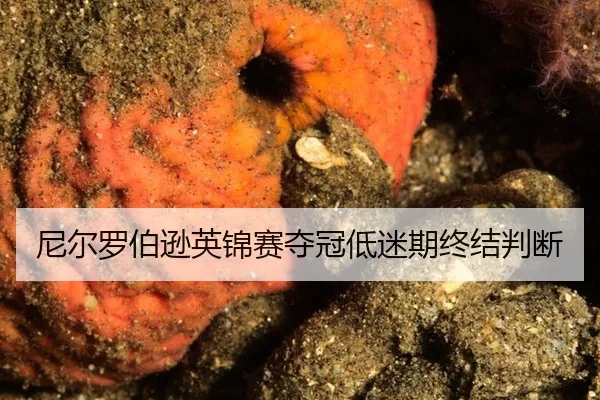 尼尔罗伯逊英锦赛夺冠低迷期终结判断