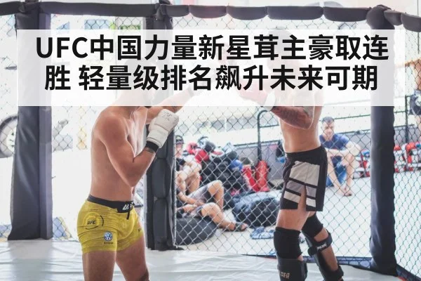 mixed martial arts cage fight